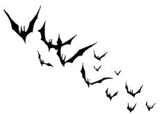 a flock of bats flying in the sky