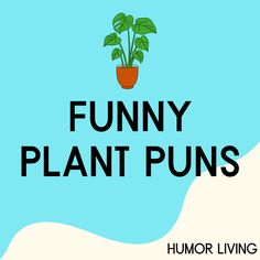 the words funny plant puns with a potted plant in it on a blue background