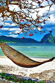 a hammock hanging from a tree near the ocean with words good morning on it