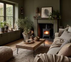 a living room filled with furniture and a fire place next to a window covered in plants