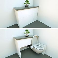 two pictures of a toilet with a plant on the top and bottom shelf above it