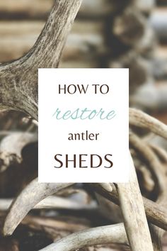 an antler with the words how to restore antler sheds on it's side