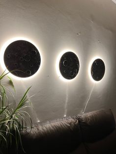 three circular lights are hanging on the wall above a couch in front of a potted plant