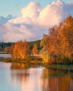 a lake surrounded by trees with clouds in the background