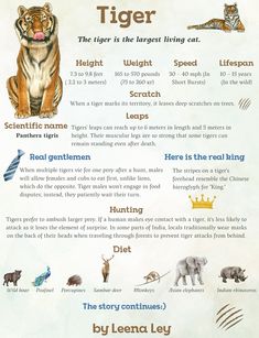 a poster with different types of animals and their names on it's front cover