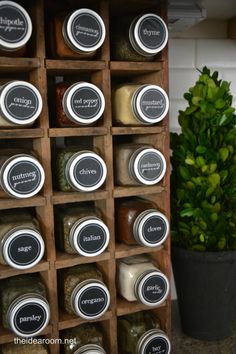 a wooden spice rack filled with lots of different types of spices next to a potted plant