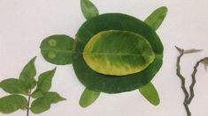 a turtle made out of leaves and other things on the ground with one shell missing