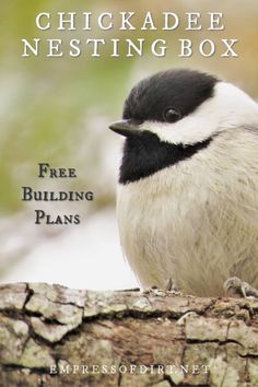 a chickadee nesting box is sitting on a tree branch with the words free building plans below it