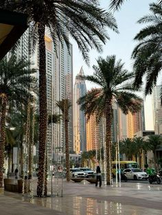 palm trees in the middle of a city with tall buildings behind them and people walking by