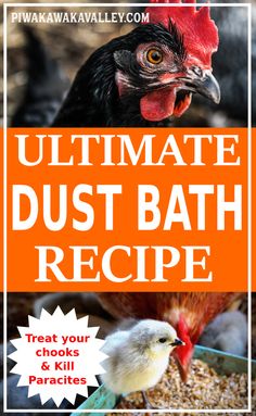 the ultimate guide to make your own homemade bath recipe for chickens and roosters with text overlay