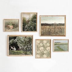 six framed paintings hang on the wall in front of a white wall with flowers and grass