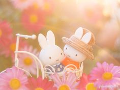 two little bunnies sitting on top of a bike with pink flowers in the background