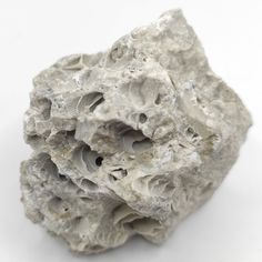 a rock that has some kind of white substance on it