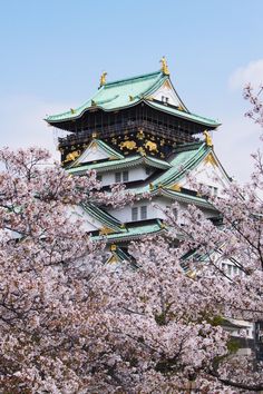 a tall white building surrounded by cherry blossoms