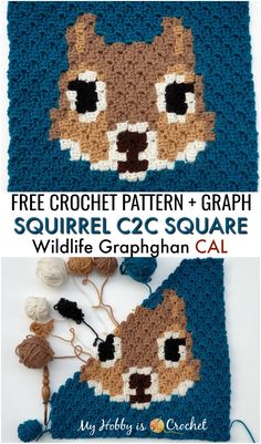 two crocheted squares with the text, free crochet pattern and graph squirrel