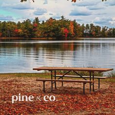 a picnic table sitting on top of a field next to a lake