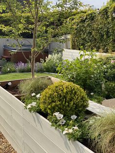 a garden filled with lots of plants next to a white fence and wooden benches on the side of a road