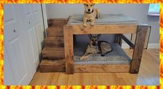 two dogs sitting on top of a dog bed