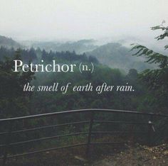 the words petrichor n are written in white on a foggy background with trees and hills