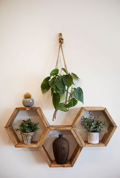 three wooden hexagonal shelves with plants on them and a potted plant in the middle