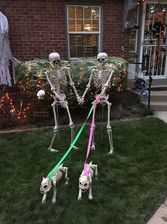 two skeleton dogs pulling a dog on a leash in front of a house decorated for halloween