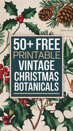 Looking for botanical art prints with a vintage touch? Get 50+ vintage Christmas botanicals for your holiday projects, featuring poinsettias, Christmas amaryllis', and Christmas roses. These free vintage printables are ideal for holiday invitations, gift wrap, and vintage Christmas cards. Download your free prints now and save this pin for festive inspiration! Free Vintage Christmas Printables, Vintage Christmas Printables, Christmas Amaryllis, Christmas Botanicals, Amaryllis Christmas, Christmas Wall Prints, Botanical Printables, Christmas Roses, Botanical Gallery Wall