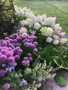 a garden filled with lots of purple and white flowers