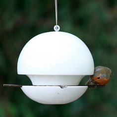 a small bird perched on top of a white bird feeder hanging from a tree branch