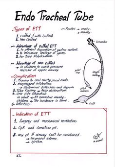 the endo tracheal tube diagram