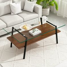 a living room with a couch, coffee table and potted plant