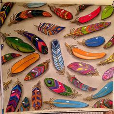 an image of colorful feathers on display