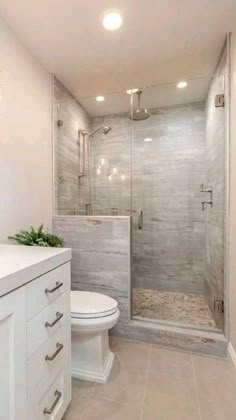 a bathroom with a walk in shower next to a white toilet and counter top sink