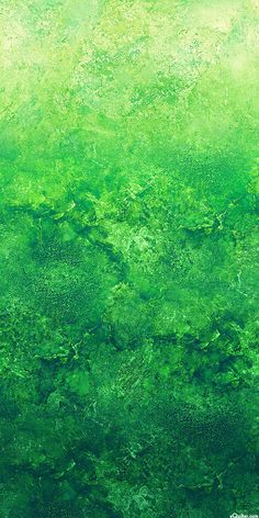 an abstract green background with lots of leaves on the top and bottom, as well as some