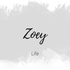 the word zooy written in black ink on a gray and white background with brush strokes