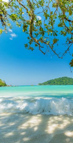 an ocean view with waves crashing on the shore and trees in the foreground, under a bright blue sky