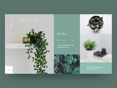 the website is designed to look like it has plants in pots and potted plants