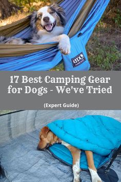 Camping Gear for Dogs Rv'ing With Dogs, Dog Camping Essentials, Camping With A Dog, Puppy Gear, Lacrosse Training, Dog Camping Gear, Hiking With Dogs, Camping With Dogs