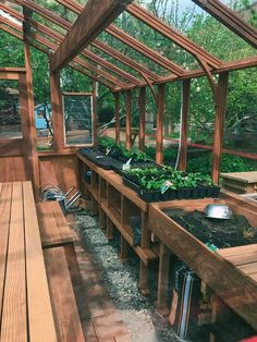 a wooden bench sitting inside of a greenhouse filled with lots of plants and dirt on the ground