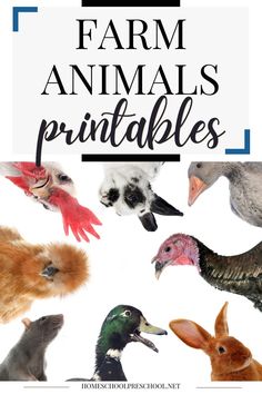 farm animals printables for kids and adults to make them look like they are looking at