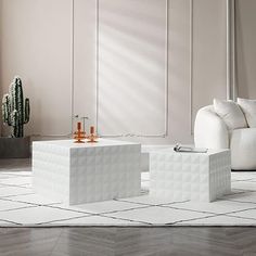 a living room with white furniture and cactus in the corner