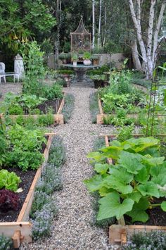 a garden filled with lots of green plants