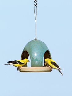 two yellow and black birds are perched on a blue bird feeder that is hanging upside down