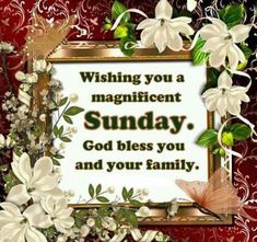 a card saying wishing you a magnificent sunday god bless you and your family with white flowers