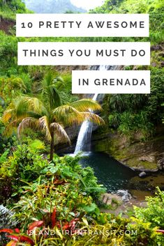 the words 10 pretty awesome things you must do in grenada, surrounded by tropical vegetation