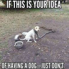 a dog chained to a chain with the caption if this is your idea of having a dog just don't