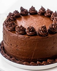 a chocolate frosted cake on a white plate