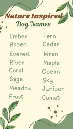 the nature inspired dog names are shown