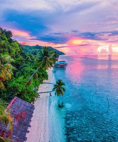 an aerial view of a beach with palm trees and the ocean in the foreground