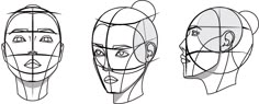 three different angles of the face for each woman's head, with lines drawn on them