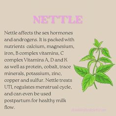 FERTILITY ENHANCING HERBS🌿💜 These are our favorite ally herbs to use individually and together. They are used in our custom herbal blends, depending on what your feminine wellness goals are and which herbs will work best for your unique journey. What are your favorite herbs🌿 ? Grab a custom herbal blend for consuming or Yoni steam at doulainthedesert.con/store or Comment HERBS for direct link🌙 . . . . . . . . #herbs #doula #doulasupport #yoniteablend #yonisteam #fertility #infertility #c... Herbal Birth Control, Feminine Wellness, V Steam, Optimum Health, Improve Fertility, Male Fertility